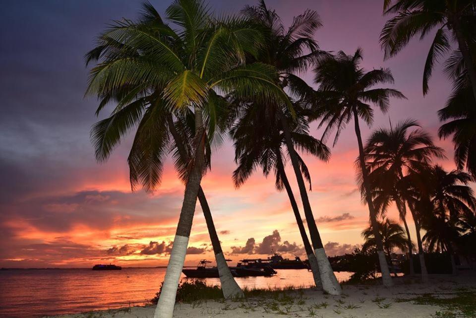 Estrella Del Mar - Condo 101 イスラ・ムヘーレス エクステリア 写真